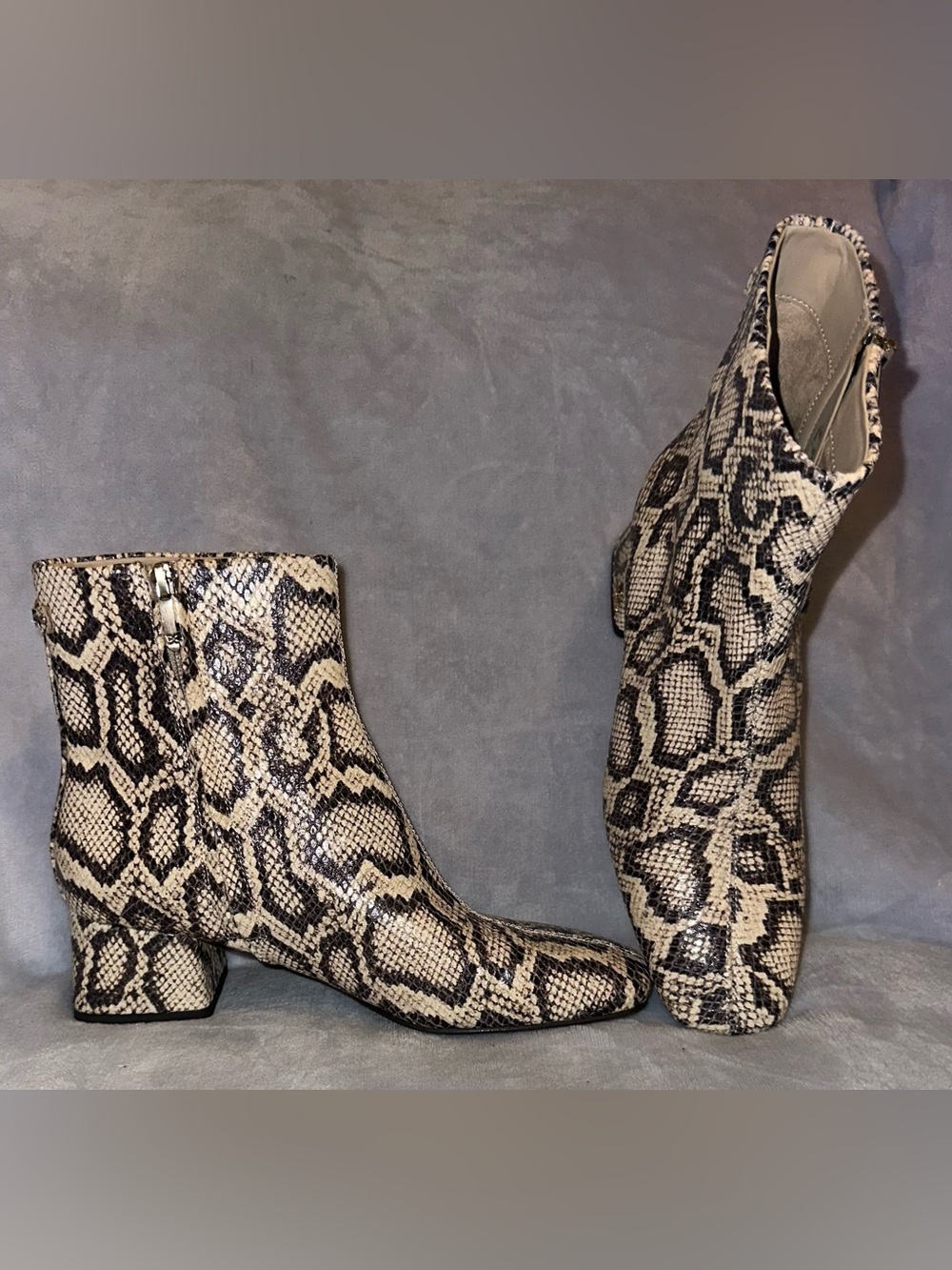 Sam Edelman NWT Women’s Size 7.5 Paige 2 Roccia Snakeskin Ankle Boots Block Heel - Picture 7 of 12